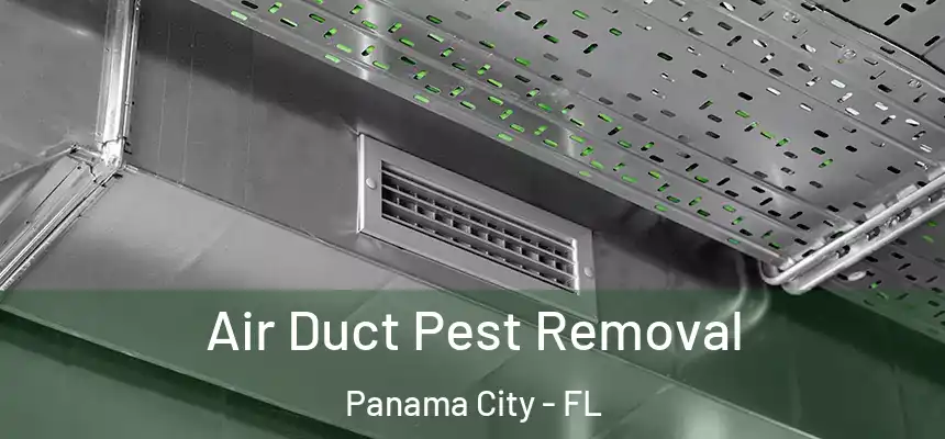Air Duct Pest Removal Panama City - FL