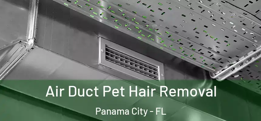 Air Duct Pet Hair Removal Panama City - FL