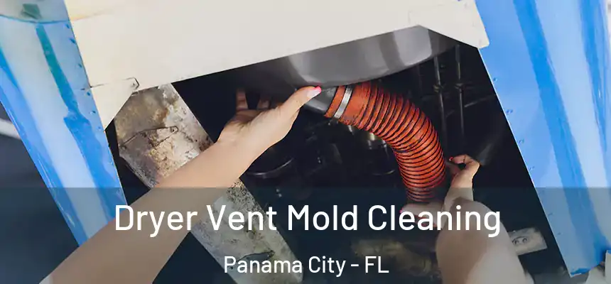 Dryer Vent Mold Cleaning Panama City - FL