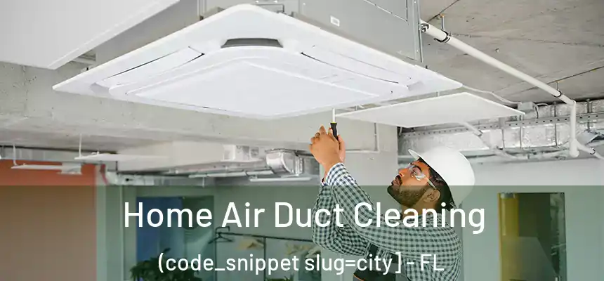  Home Air Duct Cleaning (code_snippet slug=city] - FL