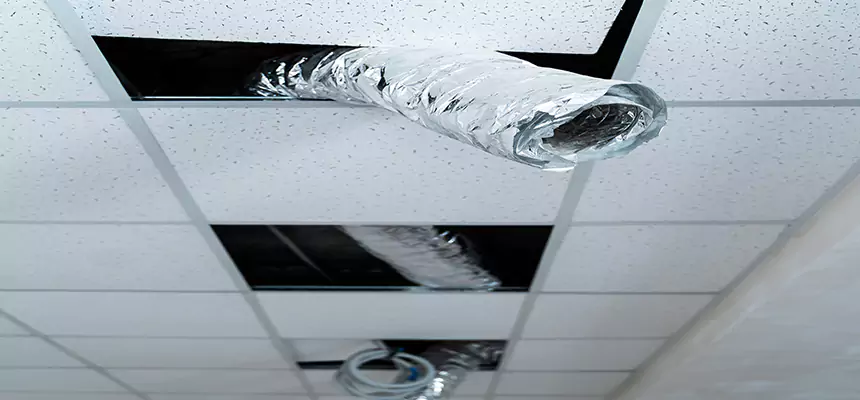 Our Air Duct Pet Hair Removal Services in Panama City, FL