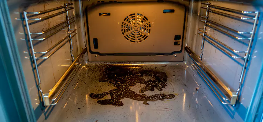 Our Dryer Vent Mold Cleaning Services in Panama City, FL