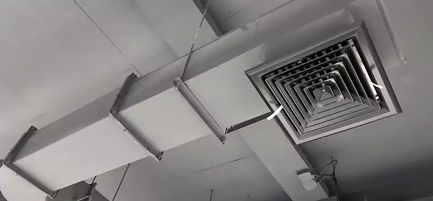 Our Pest Removal From Ducts Services in Panama City, FL