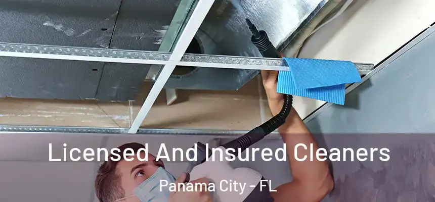 Licensed And Insured Cleaners Panama City - FL