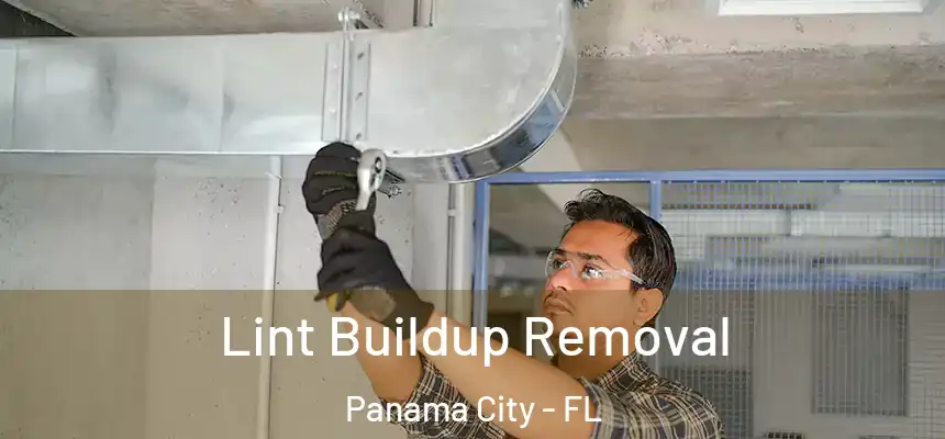 Lint Buildup Removal Panama City - FL