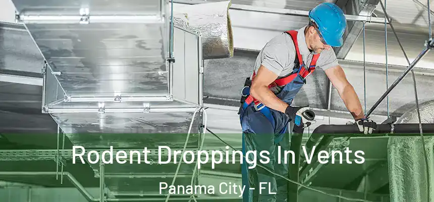 Rodent Droppings In Vents Panama City - FL