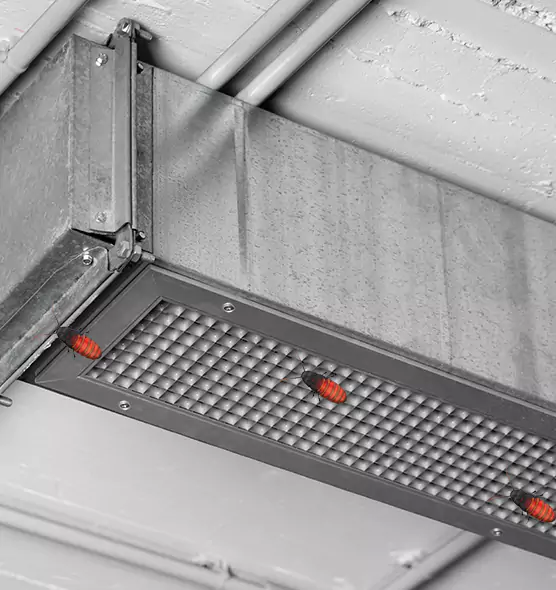 About Air Duct Cockroach Removal in Panama City, FL
