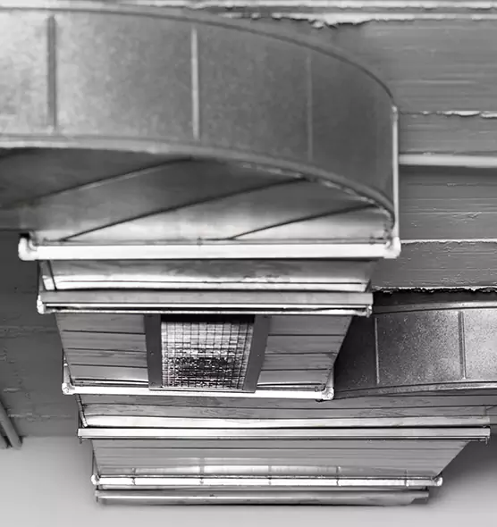 Professional Air Duct Pest Removal in Panama City, FL