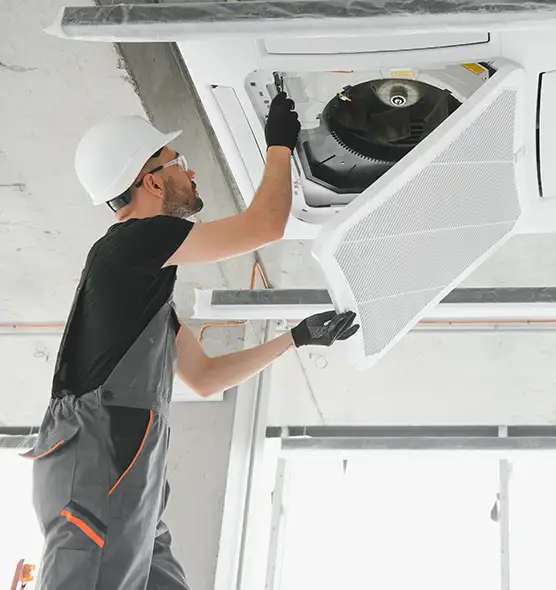 About Air Duct Rodent Removal in Panama City, FL