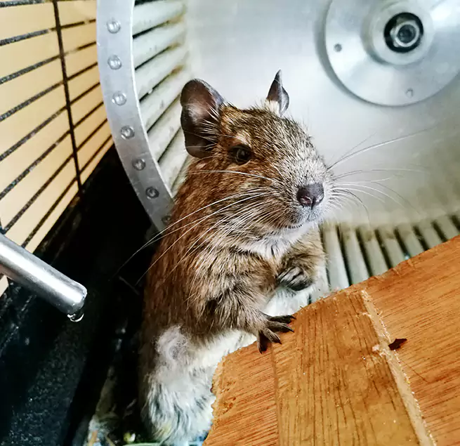 Why Homeowners & Businesses Trust Us Panama City, FL