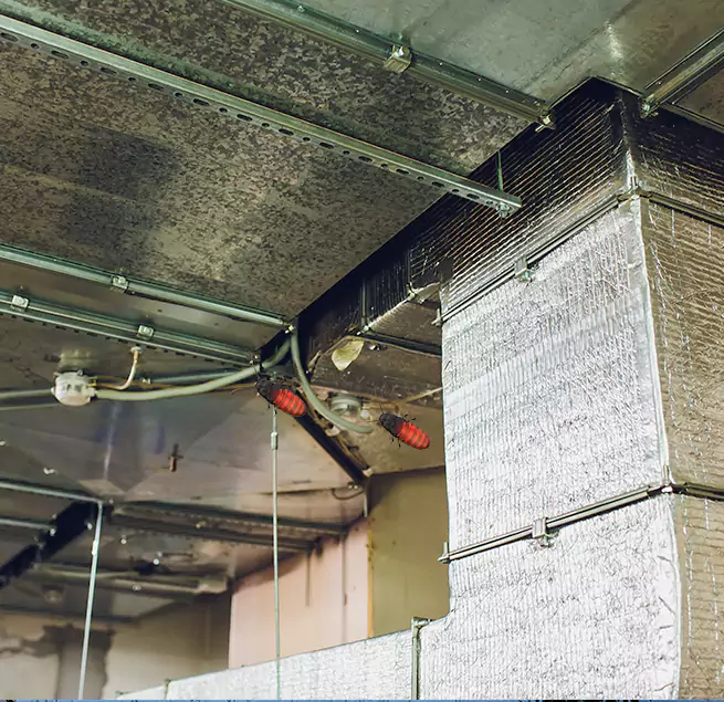 Why Homeowners & Businesses Trust Us Panama City, FL?